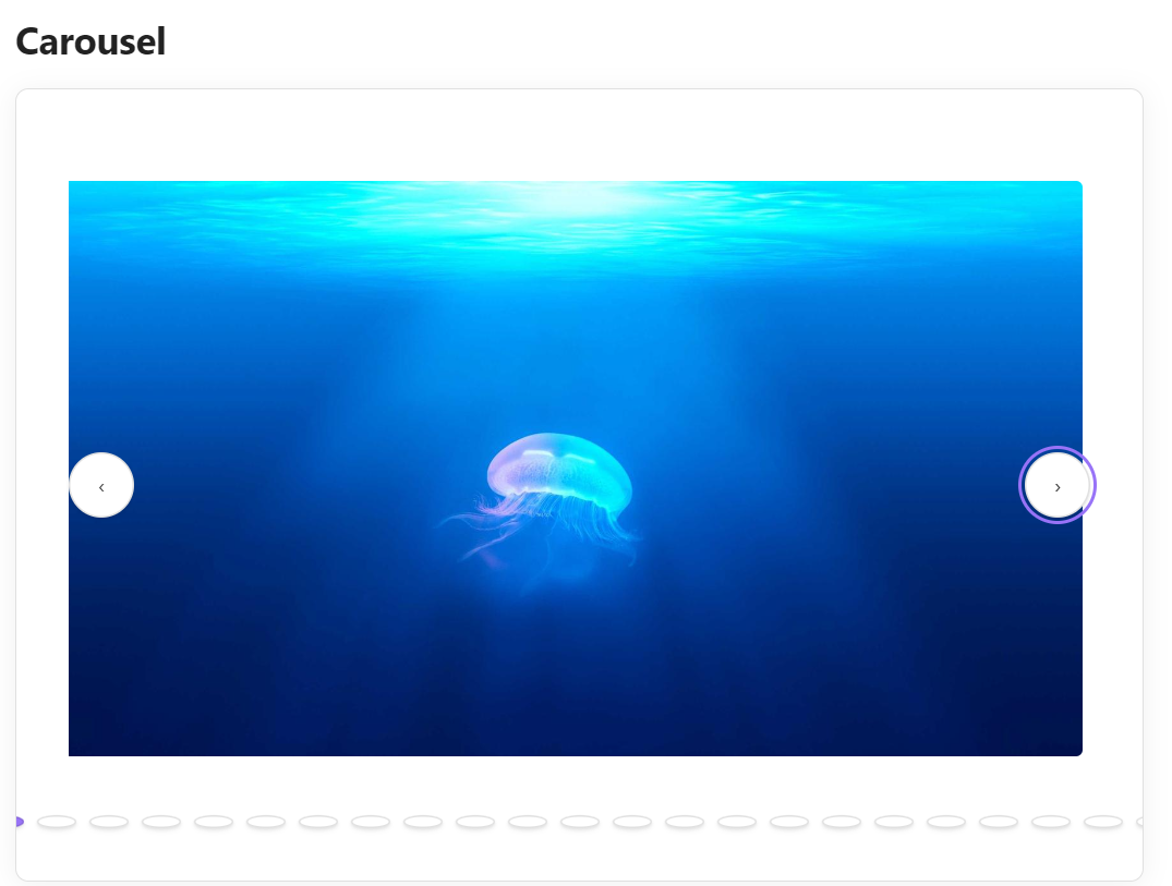 Carousel view screenshot